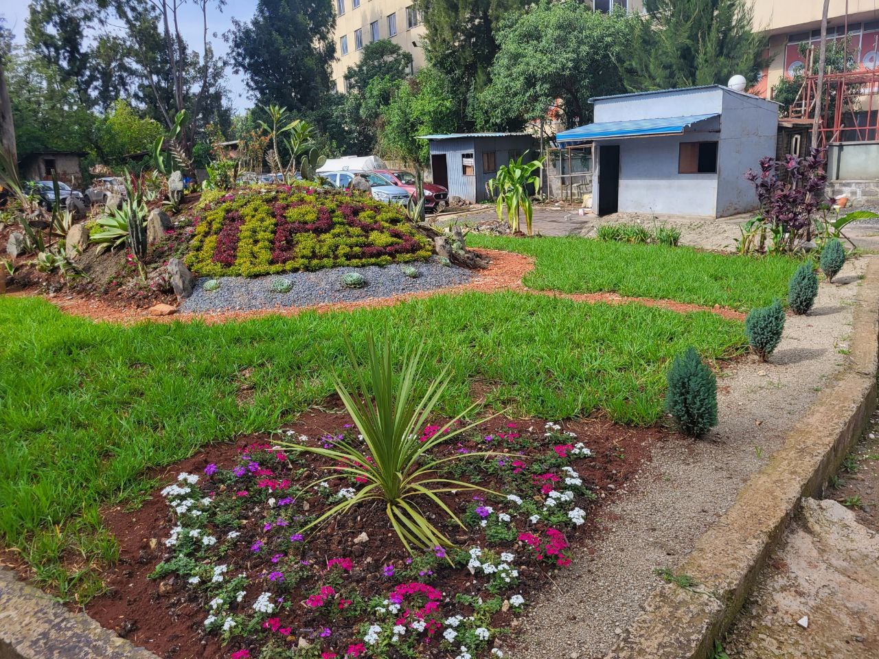 Commercial landscape project by VERT