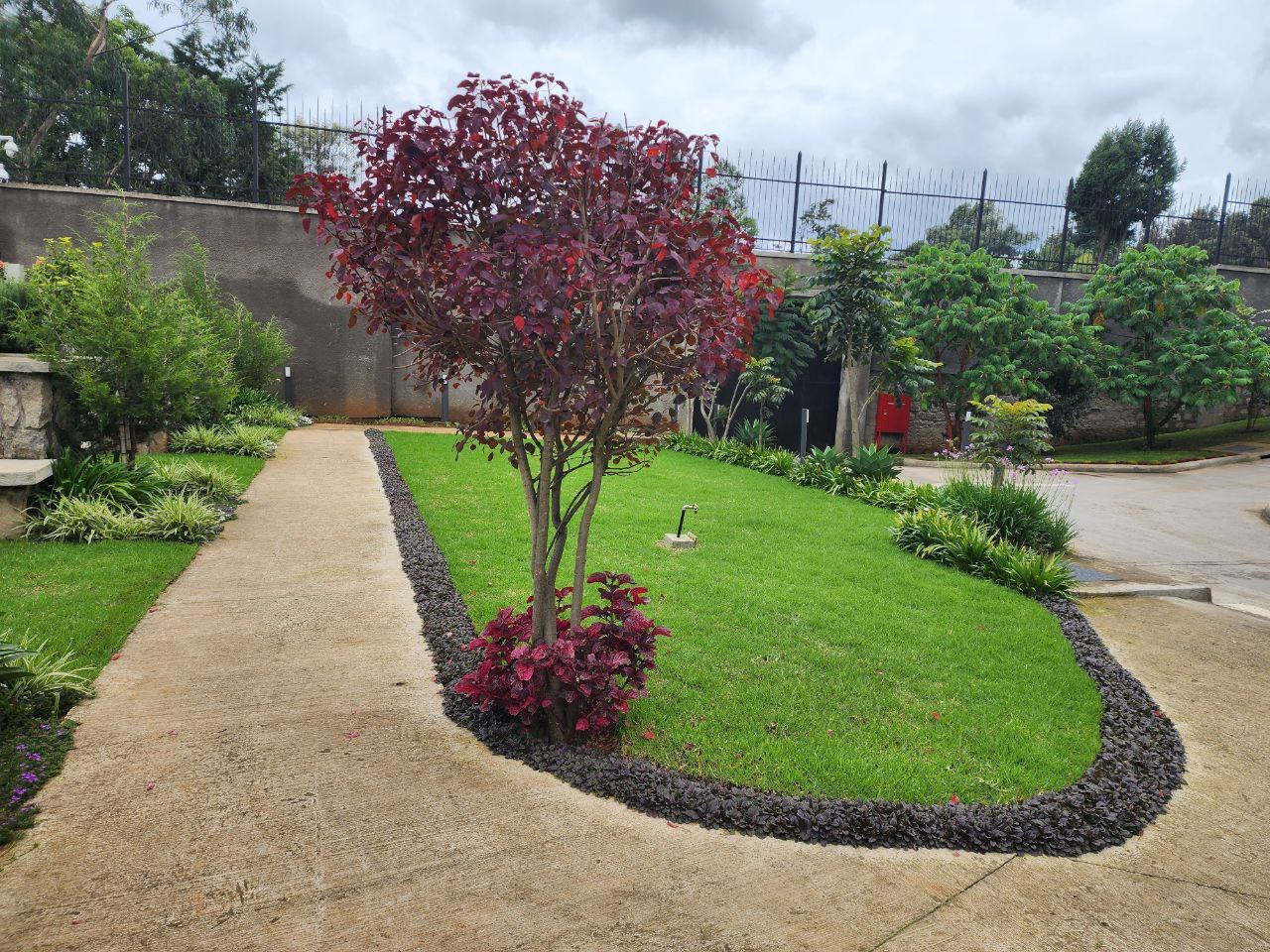 Completed VERT residential garden with lawn and planting beds