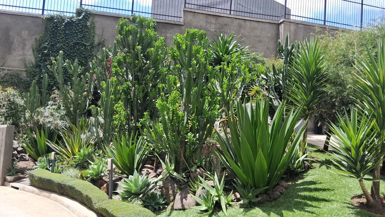 VERT planting and exterior landscape detail