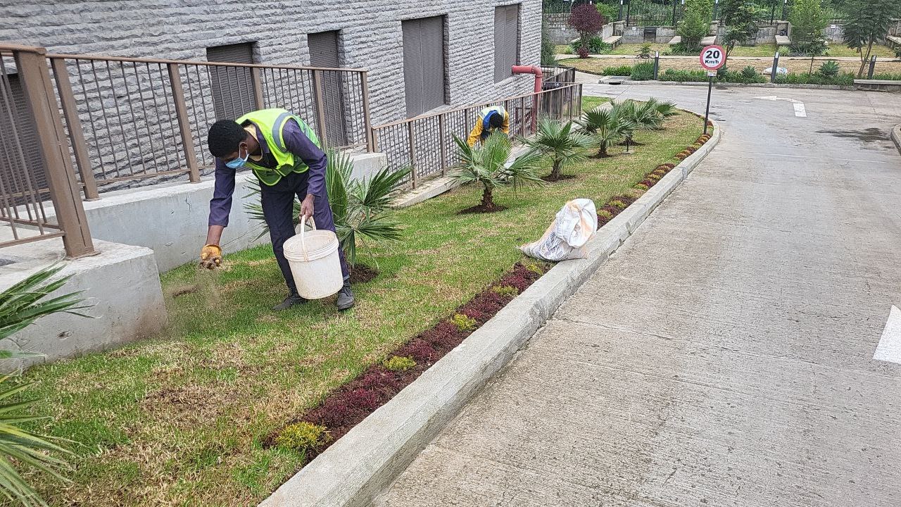 Elevation One Apartment landscape view