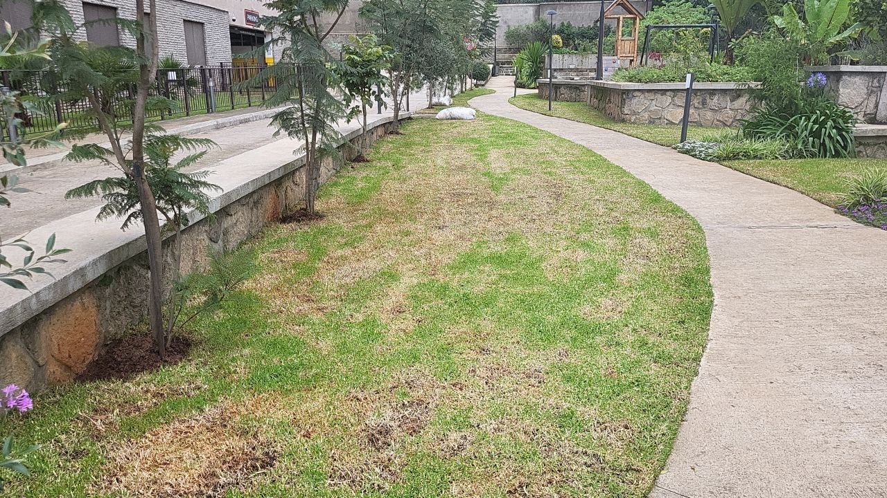 Elevation One Apartment landscape view