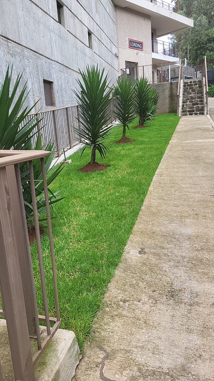 Elevation One Apartment landscape view