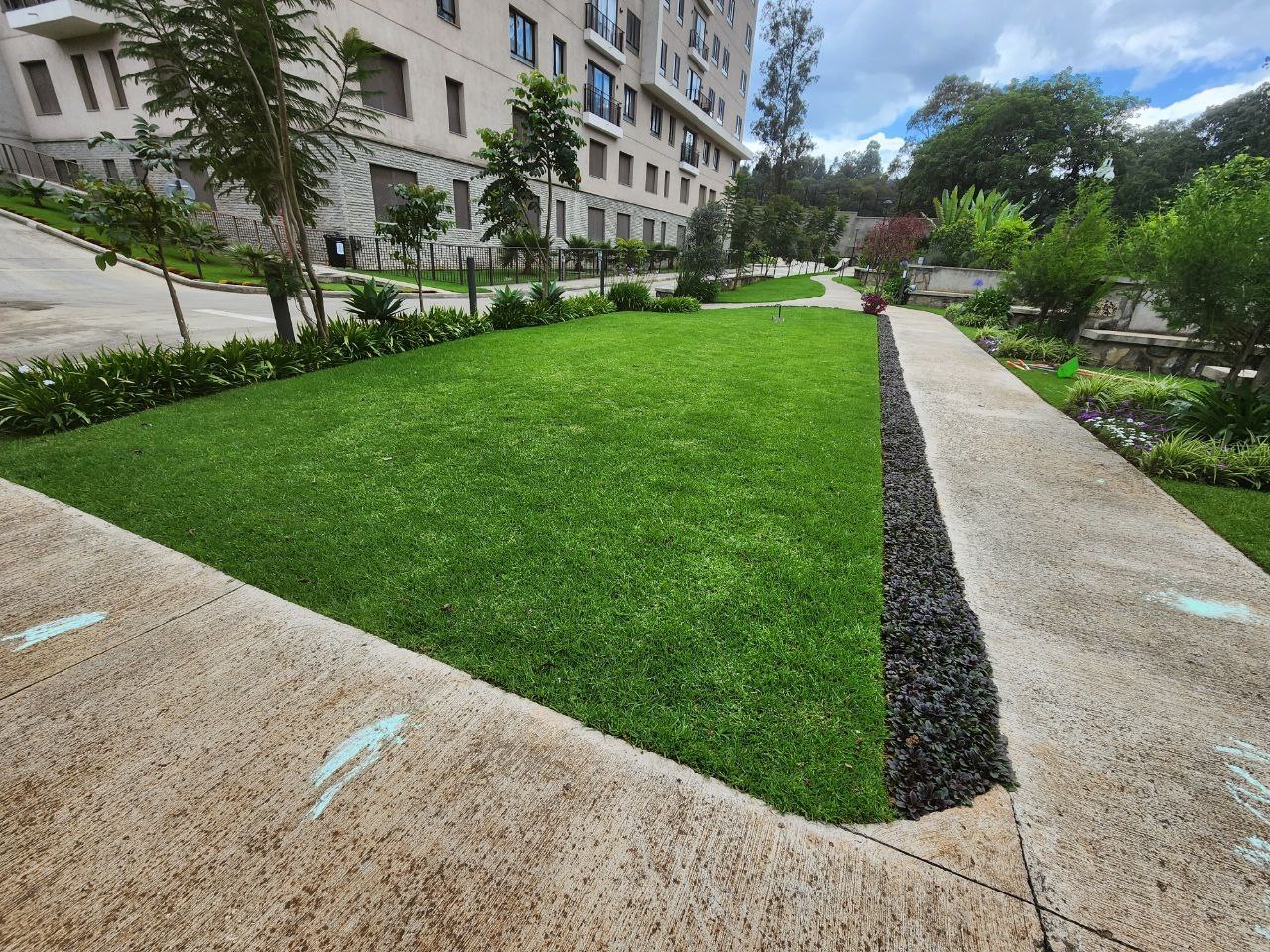 Elevation One Apartment landscape view