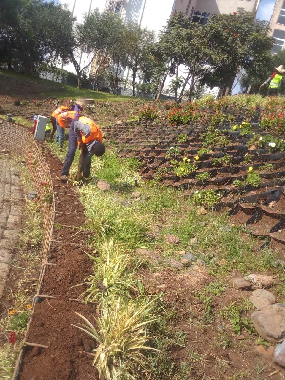 Friendship Park 2 landscape view