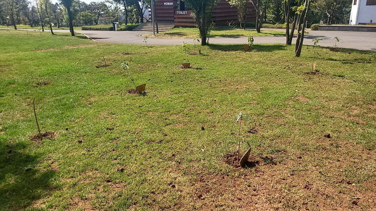 Friendship Park 2 landscape view