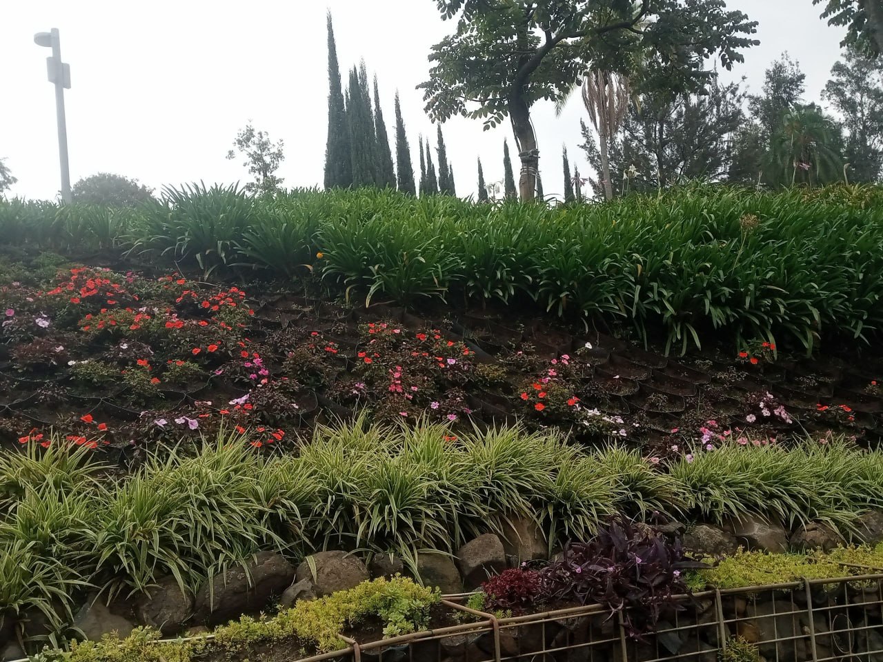 Friendship Park 2 landscape view