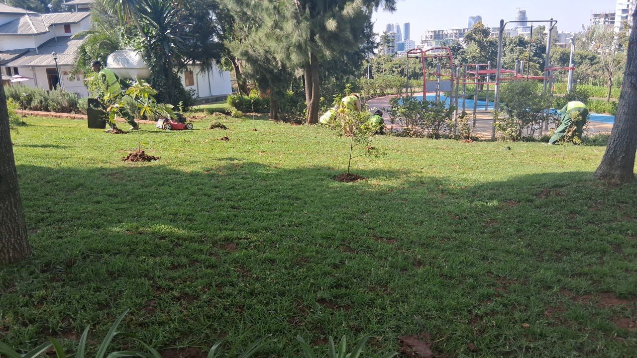 Friendship Park 2 landscape view