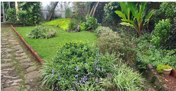 GIZ-EPE landscape view