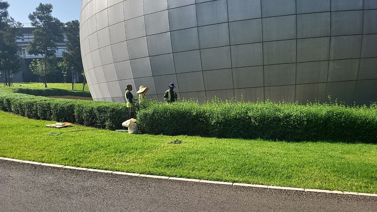 Science Museum landscape view