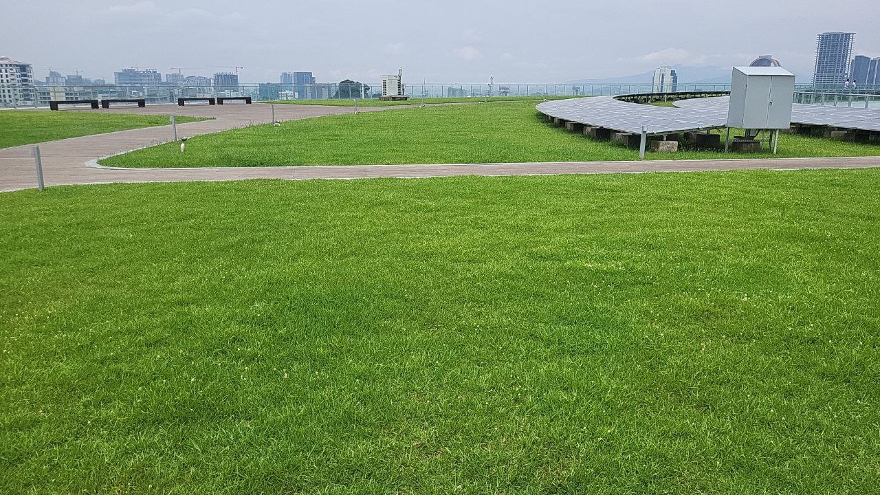 Science Museum completed landscape view