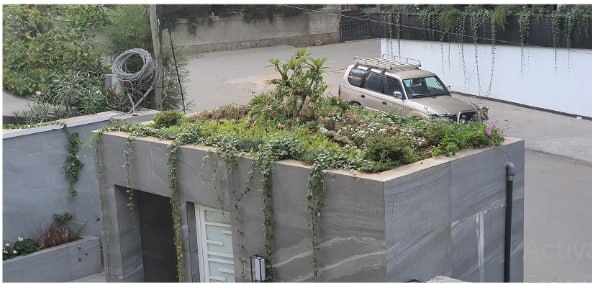 Zemera Investment Group landscape view