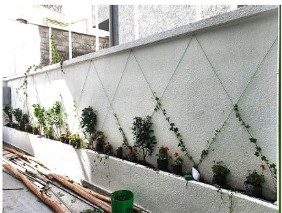 Zemera Investment Group completed landscape view